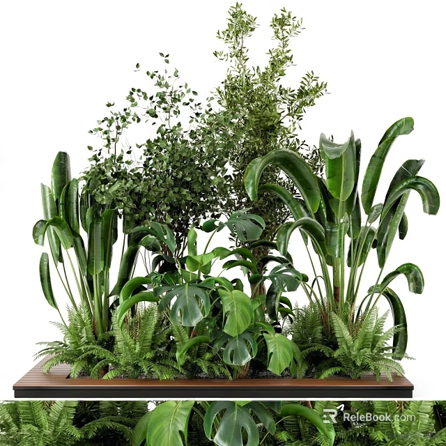 Various Green Plants with Large Leaves Ferns Small Leaf Shrubs Lush Arrangement on Wooden Platform 3d model 