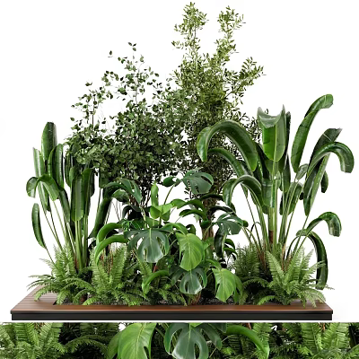 Various Green Plants with Large Leaves Ferns Small Leaf Shrubs Lush Arrangement on Wooden Platform 3d model