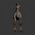 Realistic Velociraptor Dinosaur Standing With Open Mouth 3D Model On Black Background 3d model