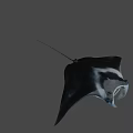 White Manta Ray With Black Spots Swimming In Deep Blue Ocean