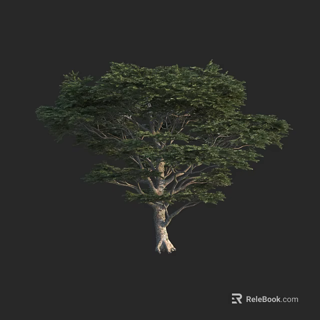 Arbor With Lush Green Foliage Tall Trunk And Natural Growth Structure 3d model 