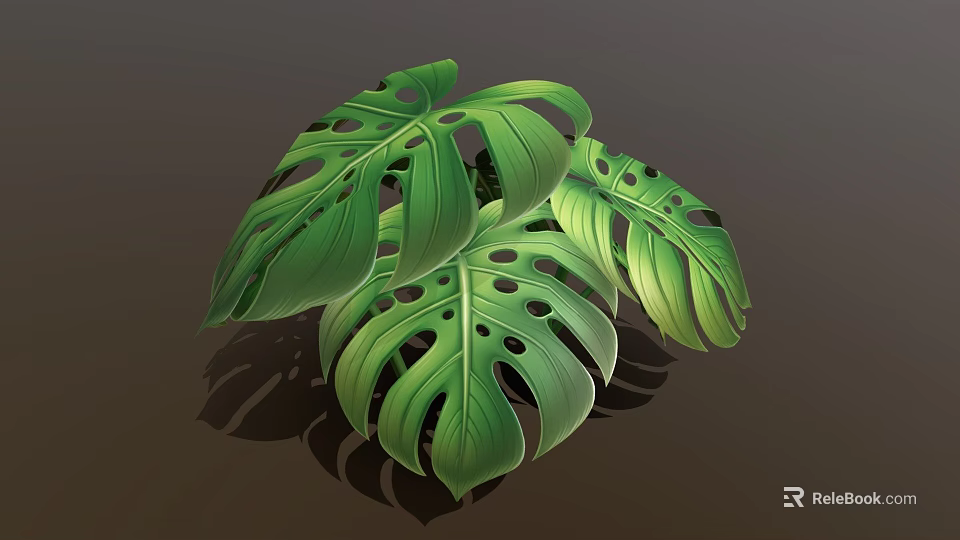 Cartoon Scene of Lush Green Monstera Leaves With Holes and Vibrant Veins 3d model 