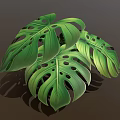 Cartoon Scene of Lush Green Monstera Leaves With Holes and Vibrant Veins