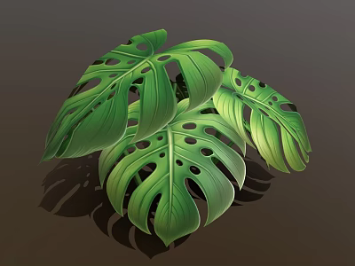 Cartoon Scene of Lush Green Monstera Leaves With Holes and Vibrant Veins 3d model
