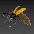 Realistic Black and Yellow Beetle with Large Antennae and Open Wings
