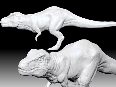Two White 3D T-Rex Dinosaur Models Showcasing Reptile Physical Features 3d model