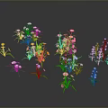Diverse Plant Collection With Colorful Flowers Different Shapes And Green Leaves