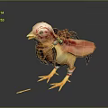 Pink Baby Chicken With Leather Gear Ornaments Sharp Claws And Feathers On Dark Background