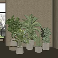 Various Indoor Potted Plants With Light Colored Planters And Greenery By Large Windows