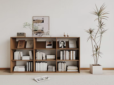 Modern Wooden Bookcase With Stacked Books Decorative Pieces And Tall Green Plant In White Pot 3d model