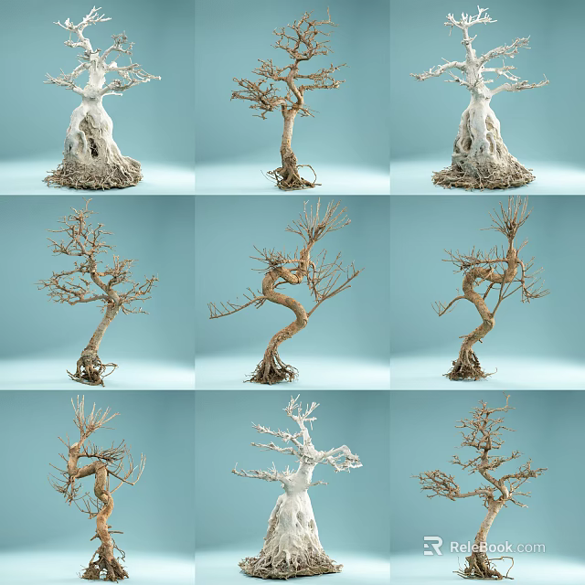 Bare Bonsai Style Trees With Twisted Trunks On Light Blue Background 3d model 