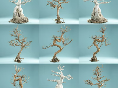 Bare Bonsai Style Trees With Twisted Trunks On Light Blue Background 3d model
