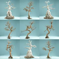 Bare Bonsai Style Trees With Twisted Trunks On Light Blue Background 3d model