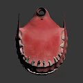 Dental Oral Structure Model With White Teeth Pink Gums And Red Tongue