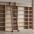 Modern Ladder Library Bookshelf Ladder 3d model
