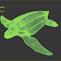 Modern Turtle Cartoon Turtle 3d model