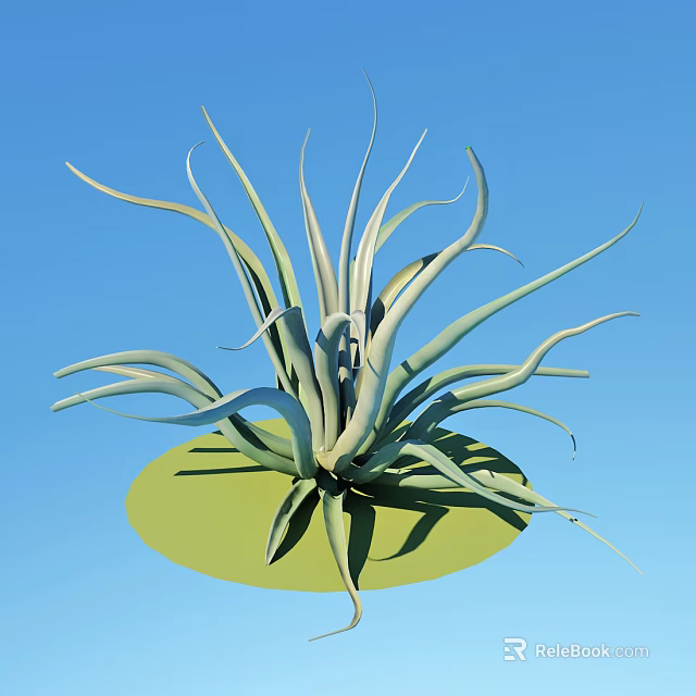 Bonsai Potted Plant With Slender Curved Leaves On Green Circular Base And Blue Background 3d model 