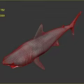 Lifelike Shark Model With Open Mouth Sharp Teeth And Streamlined Body