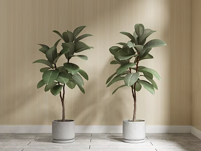 Indoor Green Potted Plants With Lush Leaves In White Pots By Wooden Wall 3d model