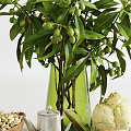 Pistachios Ice Cream Cookies And Tea Served On Wooden Tray With Olive Branches