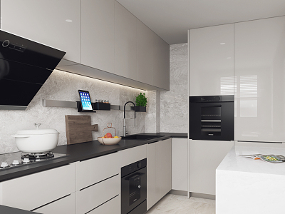 Modern Kitchen model