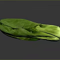 Fresh Green Leafy Vegetable For Healthy Organic Household Daily Use