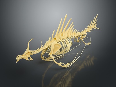 modern skeleton sea monster sea monster skeleton sea beast 3d model