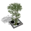 Potted Arbor in Square Planter With Small Shrubs and White Pebbles