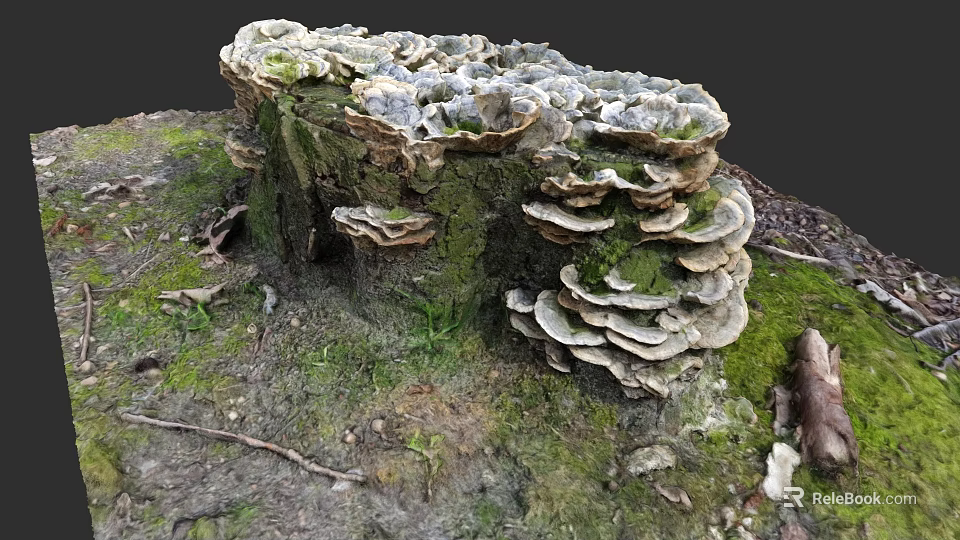 Botanical Painting Featuring Tree Stump with Lush Mushrooms Green Moss and Fallen Leaves 3d model 