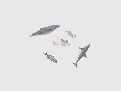 Various Aquatic Animals Including Whale Shark Dolphin And Small Fish Swimming Together 3d model