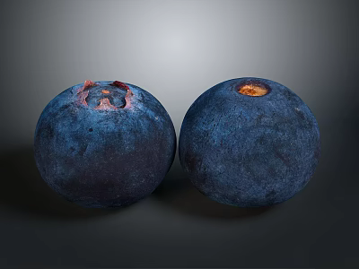 Two Fresh Ripe Dark Blue Whole Blueberries With Stem For Daily Use 3d model
