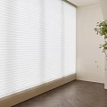 White Venetian Blinds in Modern Interior With Light Wall Wooden Floor and Green Plant