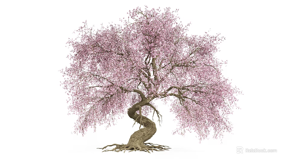 Graceful Tree With Pink Blossoms Twisted Trunk And Exposed Roots 3d model 