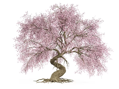 Graceful Tree With Pink Blossoms Twisted Trunk And Exposed Roots 3d model