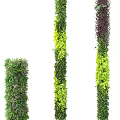 Vertical Green Wall Design With Lush Foliage And Various Plant Species
