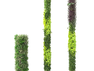 Vertical Green Wall Design With Lush Foliage And Various Plant Species 3d model