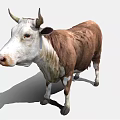 Realistic Brown And White Cow 3D Model With Detailed Fur And Horns