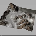Alpine Plants Growing On Mountain Terrain Model With Winding Roads And Snowy Areas