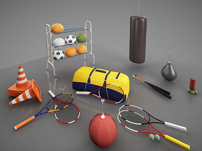 Assorted Sports Equipment Collection with Ball Rack Racket Bag Cones Punching Bag and Dumbbells 3d model