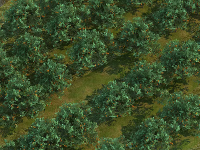 Sturdy Swing Door For Orchard Access With Lush Orange Trees And Green Turf 3d model