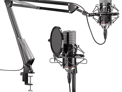 Professional Entertainment Electronics Microphones With Boom Arm Stand And Pop Filter 3d model