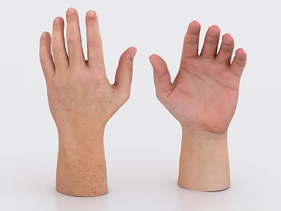 Realistic Human Hand Models Showing Palm And Back Of Hand With Different Skin Tones 3d model