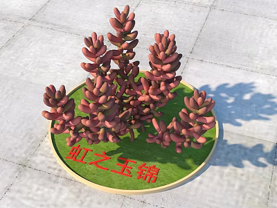 Red Hong Zhi Yu Jin Succulent Plants Arranged On Circular Green Base 3d model
