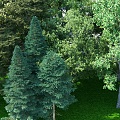 Tree Forest Big Tree Forest Ring Forest Big Tree Combination 3d model