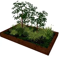 Lush Garden Plants In Wooden Planter Box With Various Green Grasses