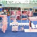 Pink Themed Tea Break Area With Cherry Blossom Backdrop White Bench Cart And Blue Carpet