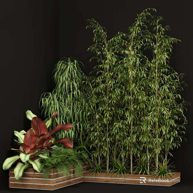 Lush Garden Greenery Display With Tall Bamboo Weeping Plants And Red Green Foliage 3d model 