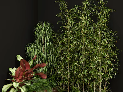 Lush Garden Greenery Display With Tall Bamboo Weeping Plants And Red Green Foliage 3d model