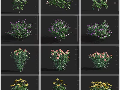 Colorful Garden Flowers And Plants With Purple Pink Yellow Blooms And Green Leaves 3d model