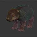 Realistic Baby Hippopotamus With Smooth Brown Skin Standing On Black Reflective Surface